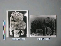 藏品(殷石梟)的圖片